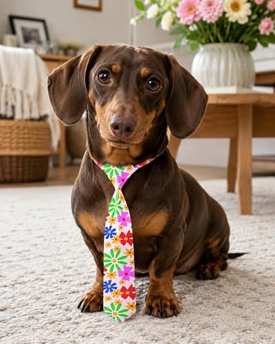 PET SHOW 10 Pack Floral Dog Ties Neckties for Medium Dogs - Image 6