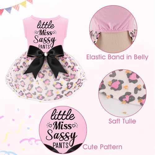 Little Miss Sassy Pants Dog Dress with Leopard Print Bowknot Dog Clothes for Small Medium Large Dogs Girls Boys Cats Outfit Apparel - Image 2