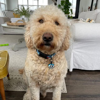 Silent Dog Tag Personalized with 5 Lines of Custom Deep Engraved Durable Soundless Silicone Pet ID Name Tag Hexagon Mountain Blue