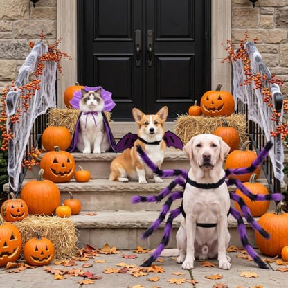 3 Pcs Halloween Costume for Dog Cat, Spider Bat Wings Cape, Purple, M - Image 6