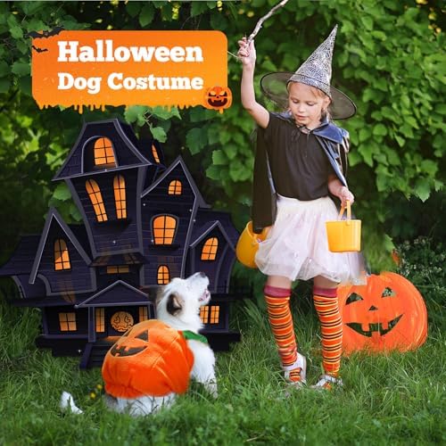 PETCARE Funny Pumpkin Dog Halloween Costume Pet Dog Cat Thick Plush Pumpkin Decoration Shirt Clothes for Small Medium Dogs Cats Puppy Cute Halloween Party Cosplay Dress Up Outfits - Image 2