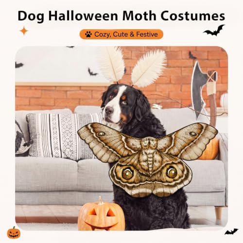 Tallew 2 Pcs Dog Halloween Costumes Moth Butterfly,L,Grayish White - Image 3
