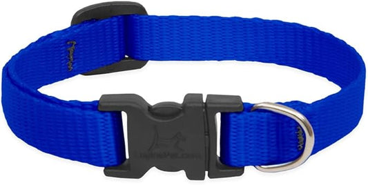 LupinePet Basics 1/2" Blue 10-16" Adjustable Collar for Small Dogs
