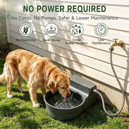Automatic Dog Water Dispenser, Auto Fill Dog Water Bowl Dispenser