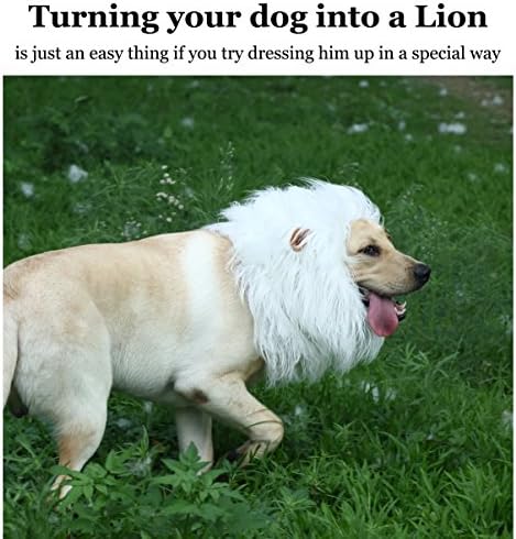 Onmygogo Lion Mane Wig for Dogs with Ears, Funny Pet Costumes for Halloween Christmas - Image 5