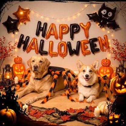 Huhumy Halloween Spider Costume with Safety Harness for Pets, Orange, M - Image 6