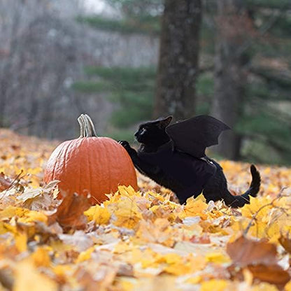 Rypet Cat Halloween Costume, Halloween Bat Wings for Small Dogs Cats, Small - Image 5