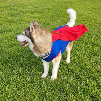 Mighty Supa Man Pet Halloween Costume with Cape - Large Breed Dog Funny Clothes Outfit Apparel (3X-Large) by POPERIE