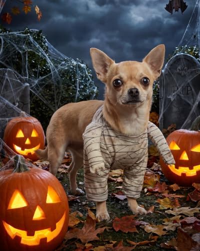 CuteBone Mummy Dog Halloween Costume Soft Stretch Bandage Outfit with 3D Long Sleeve Easy Velcro Back Closure Cosplay Party Clothes for Small Medium Dogs GBZ08XS - Image 7