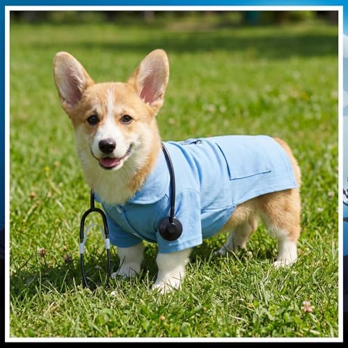 Dog Doctor Costume Cat Surgeon Nurse Costumes with Stethoscope, Blue, M - Image 6