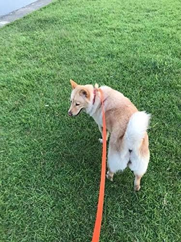 AMAGOOD Dog/Puppy Obedience Recall Training Agility Lead-15 ft 20 ft 30 ft 50 ft Long Leash-for Dog Training,Tie Out,Play,Safety,Camping (20Feet x 1Inch, Orange)