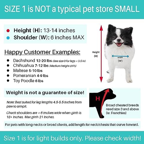 Pandaloon Dog Halloween Costume - As Seen on Shark Tank - Patented - Funny Costume with Arms for Small and Medium Dogs and Cats (Lion, Size 1(13-14 in Height at TOP of Head,Girth<16 in)) - Image 3