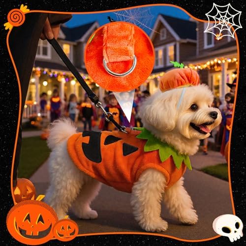 ABRRLO Funny Dog Pumpkin Costume Small Dog Cat Halloween Costumes Boy Girl Cute Halloween Dogs Shirt with Leash Ring Pumpkin Hat Puppy Cosplay Outfits Pet Party Clothes Apparel Yorkie Chihuahua(XS) - Image 2