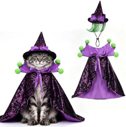 EXPAWLORER Halloween Witch Costume for Cat & Small Medium Dog by EXPAWLORER