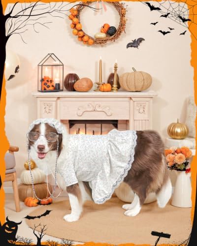 4P Funny Granny Wolf Dog Costume – Halloween Old Lady Costume for Dog for Medium and Large Dogs – Includes Floral Dress, Cap, Glasses & Eye – Classic Story-Themed Cosplay - Image 4