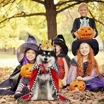 Rypet Dog King Costume, Plush King Cape & Halloween Crown for Dogs, XL - Image 7