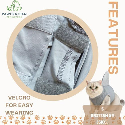 Pet Custom Dog Custom Cat Custom Hoodie, Sporty Look, Funny Gift, Halloween Holiday (Shark with Standing Fin, Small) - Image 6