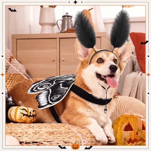 Tallew 2 Pcs Dog Halloween Costumes Moth Butterfly,S,Black,White - Image 4
