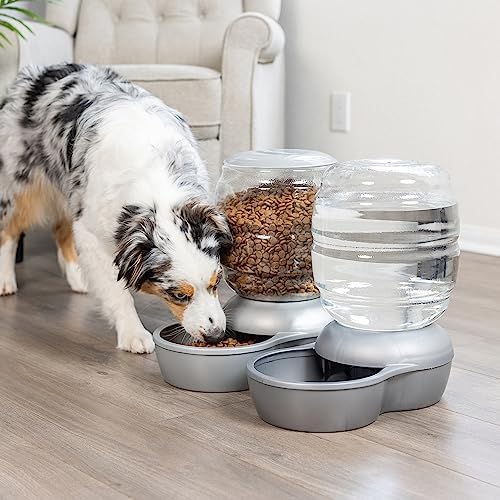 Petmate Replendish Automatic Cat and Dog Feeder, Pearl Peacock Blue, 10lb