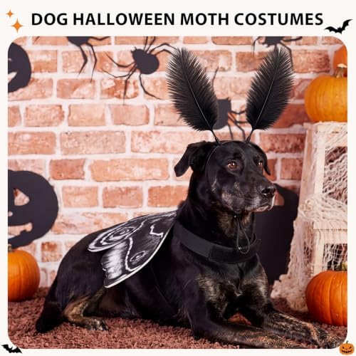 Tallew 2 Pcs Dog Halloween Costumes Moth Butterfly Wings,M,Black,White - Image 4