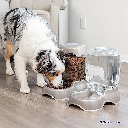 Petmate Pet Cafe Cat and Dog Water Dispenser, Blue, 1.5 GAL (Pack of 4)