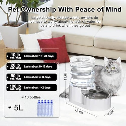 RIZZARI 5L Gravity Cat Water Dispenser: Filtered for Small Pets