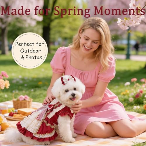 Dog Dress for Small Dogs, Vintage Dog Princess Dress with Layered Ruffle Skirt, Photo Party Outfit for Birthday, Wedding, Party, Photoshoot (XS) - Image 4