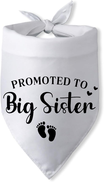 Promoted to Big Sister Pregnancy Announcement Dog Bandana Baby Gender Reveal Baby Announcement Photo Props Dog Scarf for Large Medium Small Dogs