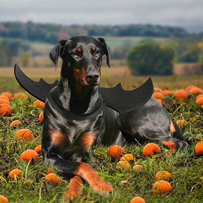 Rypet Dog Bat Wings Costume XL, Dog Bat Costume for Halloween Cosplay Party - Image 6