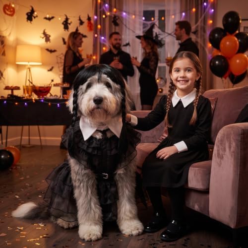 Coume 3 Pcs Halloween Dog Costumes for Dog with Belt and Wig, XL - Image 3