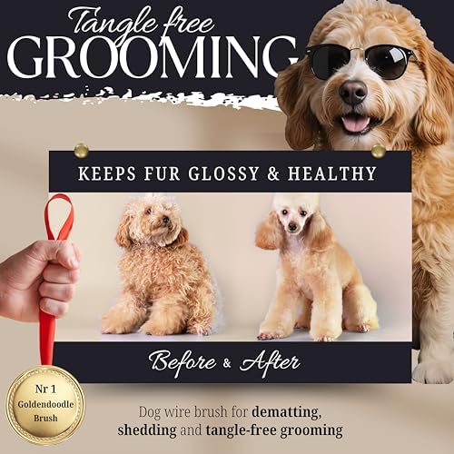 Dog Slicker Brush - Large - Protective Ball Tipped Pins Massages Pet Skin - Professional Groomer Dog Brush for Goldendoodle - Golden Retriever Brush (Large Size) - Image 2