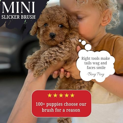 Mini Brush for Dogs and Cats - Coated Tips Massage Skin - Long Pins Remove Mats, Tangles in Long and Poodle Fur - Image 5