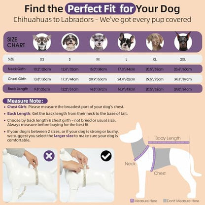 QBLEEV Dog Dinosaur Costume, Dog Halloween Costume with Hoodie - Image 4