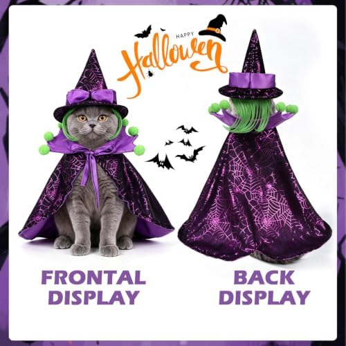 EXPAWLORER Halloween Witch Costume for Cat & Small Medium Dog - Image 5
