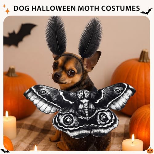 Tallew 2 Pcs Dog Halloween Costumes Moth Butterfly,S,Black,White - Image 3