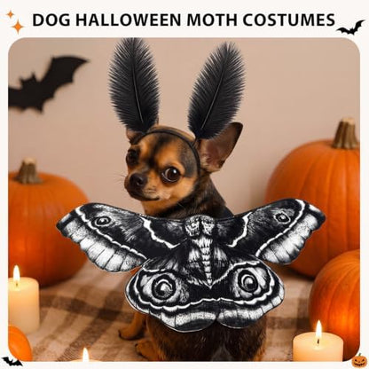 Tallew 2 Pcs Dog Halloween Costumes Moth Butterfly,S,Black,White - Image 3