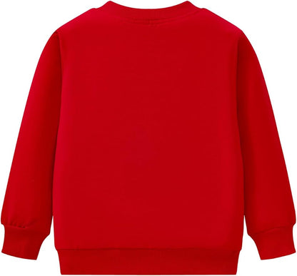 Toddler Baby Girls Cotton Sweater, Long Sleeve Crewneck Sweatshirt Pullover Kids Warm Clothing for Fall Winter