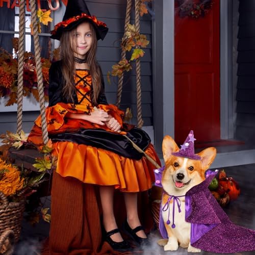JOICEE Halloween Dog Costume, Witch Hat with Cape Set for Small Medium Dog - Image 5