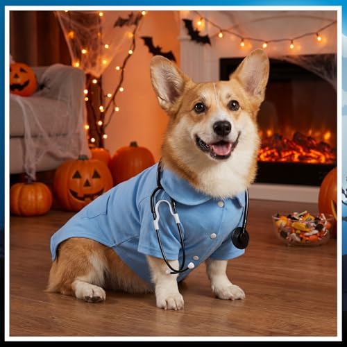 Dog Doctor Costume Cat Surgeon Nurse Costumes with Stethoscope, Blue, M - Image 4