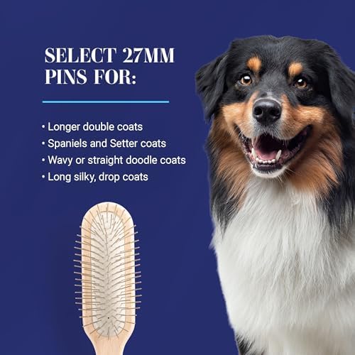 Chris Christensen 20 mm Oblong Pin Dog Brush, Original Series, Groom Like a Professional, Stainless Steel Pins, Lightweight Beech Wood Body, Ground and Polished Tips - Image 6
