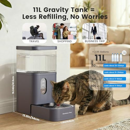 2.9 Gallon Automatic Dog Water Dispenser with Stainless Steel Bowl