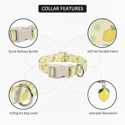 Dog Collar, Spring Summer Dog Collar with Yellow Lemon and Cute Charm, Pet Collar with Quick Release Buckle and Durable Fabric, Suitable for Small Dogs
