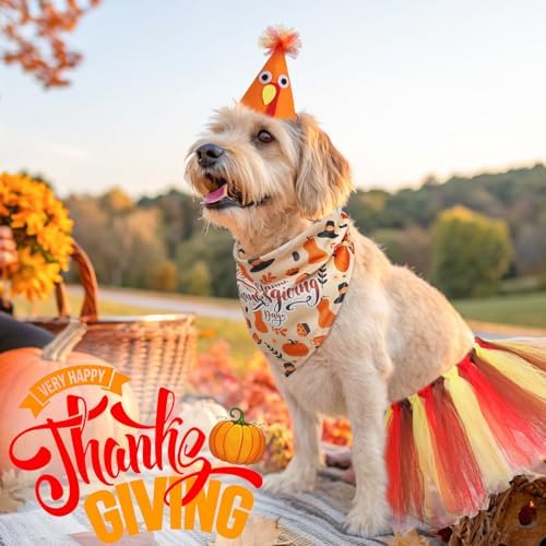 SCENEREAL Thanksgiving Dog Bandana Dress with Hat Set, Pet Turkey Costume for Small Medium Sized Dogs, Cute Tutu Skirt Outfit for Party Halloween - Image 2