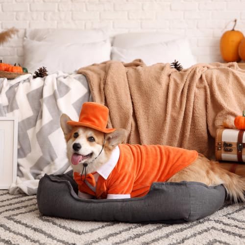 Dansydaisy 2 Pcs Halloween Orange and Blue Tuxedo Dog Costumes, Orange, 3XL - Image 5