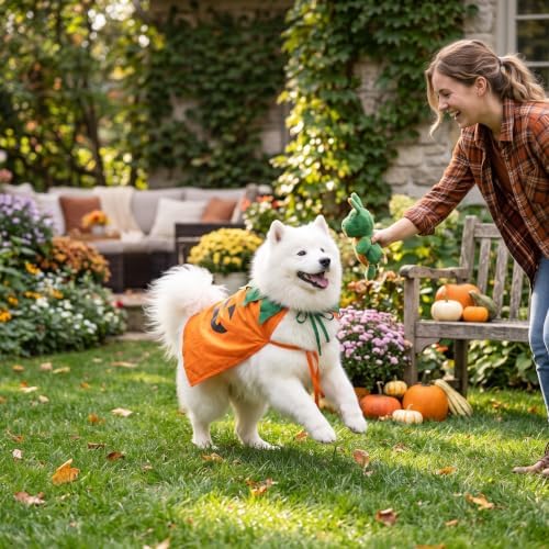 Halloween PumpkinDog Cape Halloween Dog Outfit for Medium Large Dog(L) - Image 3