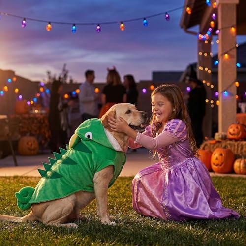 Halloween Chameleon Dog Costume Funny Pet Cat Clothes Outfits,3XL - Image 2