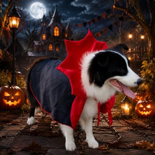 Dog Halloween Costumes for Medium Dogs,Medium Dog Halloween Costumes for Amierica Bulldog Border Collie, Medium Dog Vampire Cape M Red Black (Vampire, Large) - Image 3