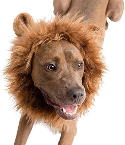 Pet Krewe Dog Lion Mane Halloween Costume – Fits Neck Size 8”- 14”- Lion Mane for Small Dogs – Ideal for Halloween, Birthday, Cosplay, Outfits, Pet Clothes - Image 5