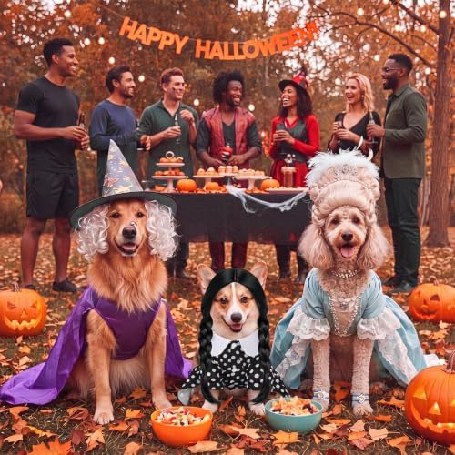 Hercicy 2 Pcs Dog Halloween Costumes Gothic Dress with Dog Wig, S - Image 5