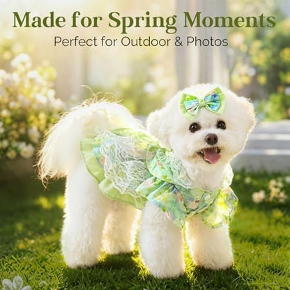 Spring Dog Dress, Floral Princess Dog Dress, Multi-Layer Ruffle Skirt with Soft Mesh & Lace Fabric, Girl Dog Clothes for Holiday, Birthday, Wedding, Party, Photoshoot (S) - Image 3